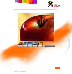 798藝術(shù)區(qū)的創(chuàng)意橋梁 為中韓設(shè)計(jì)工作室打造卓越網(wǎng)站與推廣策略